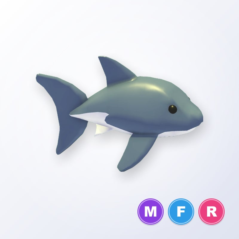 ⭐Shark MFR⭐