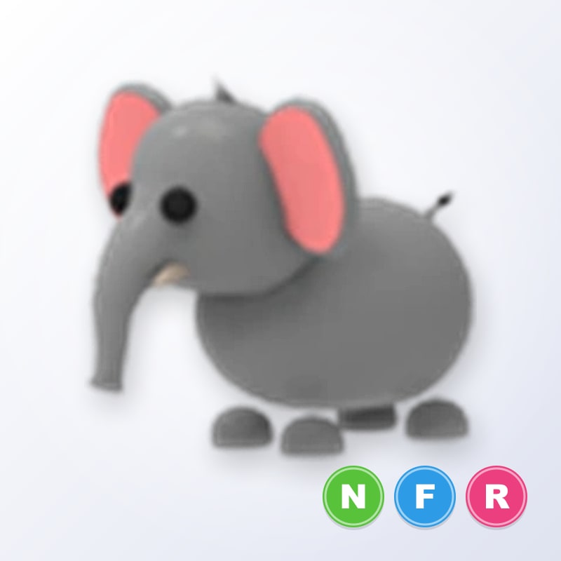 NFR Elephant | Adopt Me