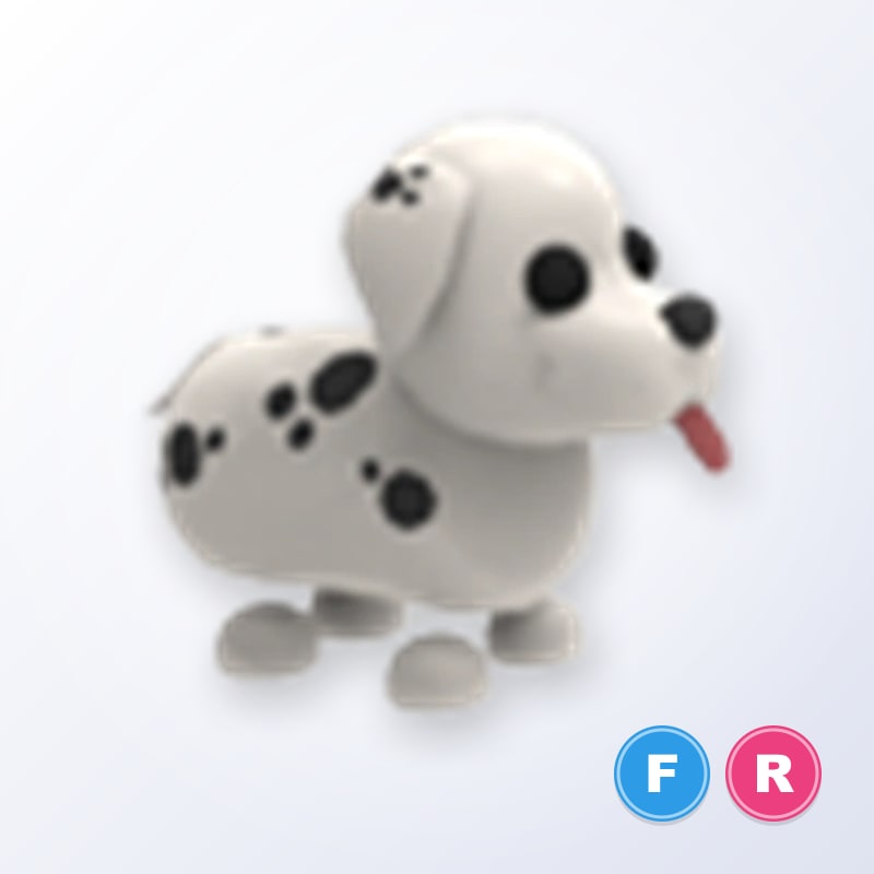 FR Dalmatian