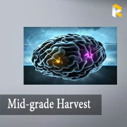Mid-grade Harvest - full set with omega