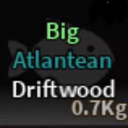 ATLANTEAN DRIFTWOOD |🐟FISCH🐟
