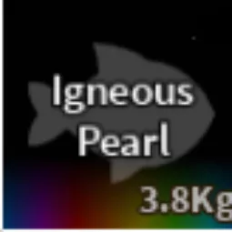 IGNEOUS PEARL | 🐟FISCH🐟