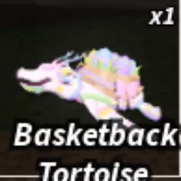 BASKETBACK TORTOISE | LIMITED BOAT | ⛵FISCH⛵