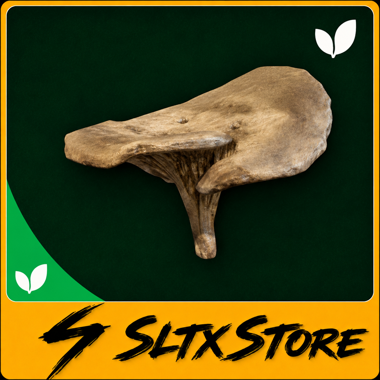 ⚡ MUSHROOM 💰 Cheapest prices · ⚡ Fastest delivery · 🕐