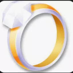 100 Diamond Rings