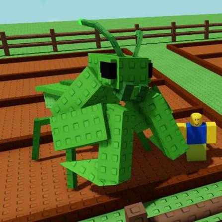 Mega Praying Mantis (7,05 Kg, Age 29)