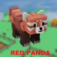 RED PANDA - GROW A GARDEN