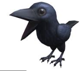 Moonlit Raven Headpiece