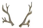 Toothy Deer Man Antlers