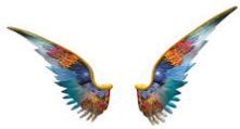 Wings of Dreams Unbound