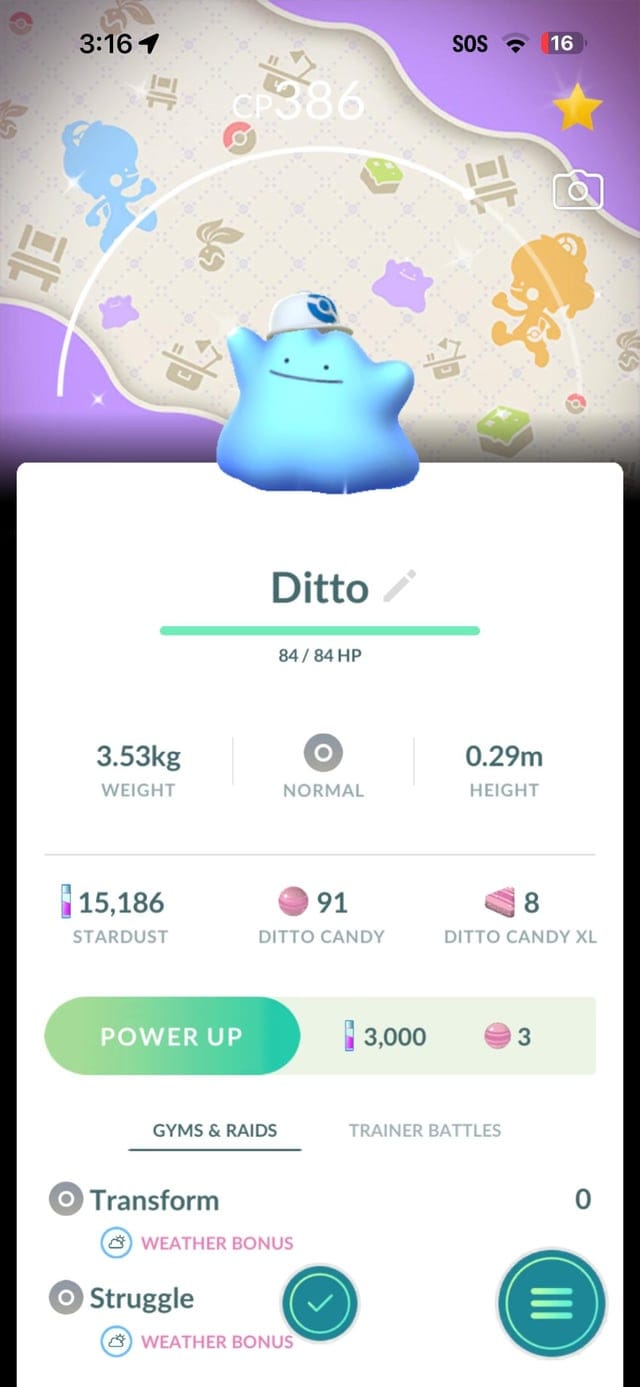 Shiny Ditto Yellow Pokopia Background || Trade 20k/1M Stardust