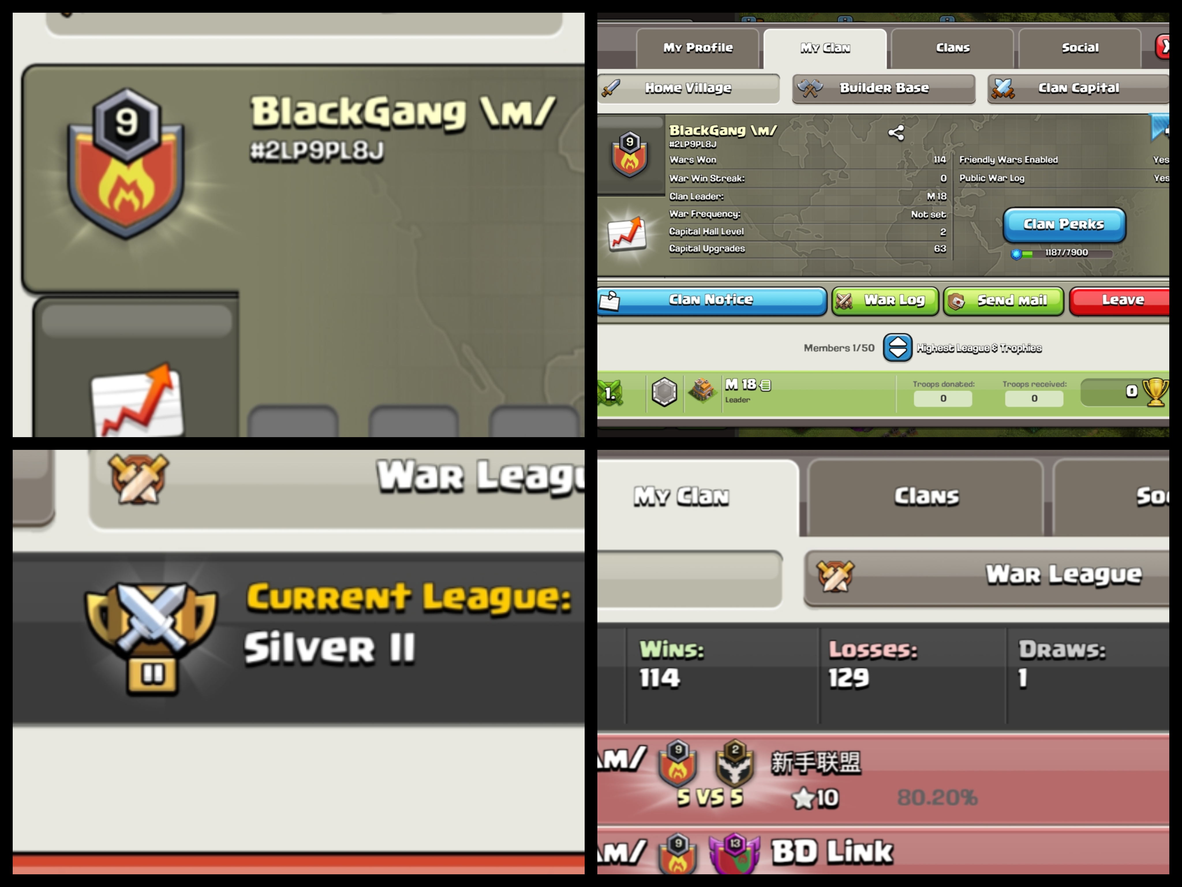 Level: 9 - Name: Blackgang \m/- League: Silver 2  - Rare & Premium English Name - No. 205