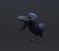 Moonlit Raven Headpiece