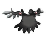 Black Dominus Palliolum
