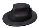 Feathered Felt Fedora