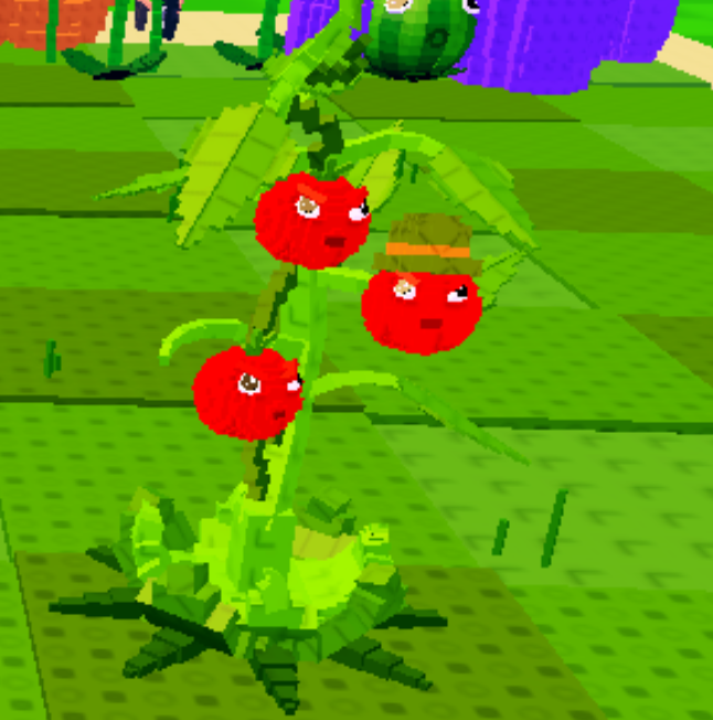 Tomatrio