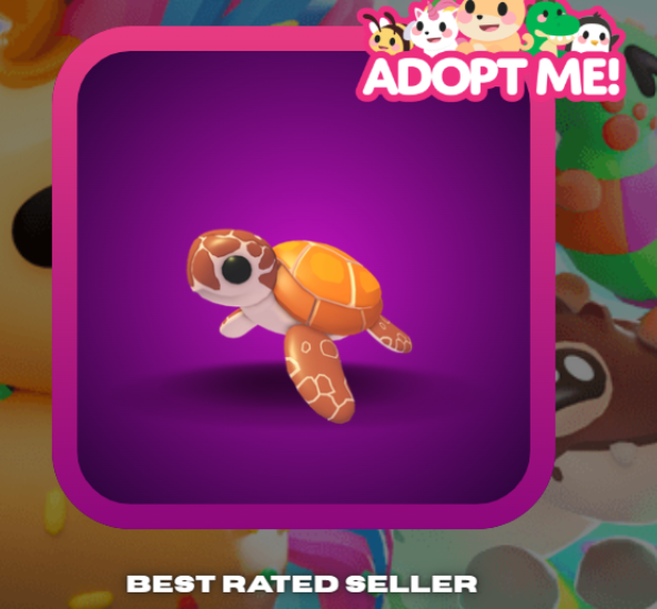 Adopt Me > Sea Turtle > FR