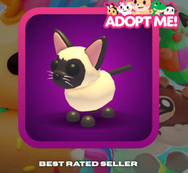 Adopt Me > Siamese Cat > MFR