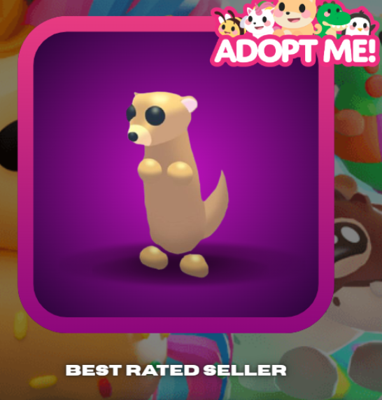 Adopt Me > Meerkat > NFR