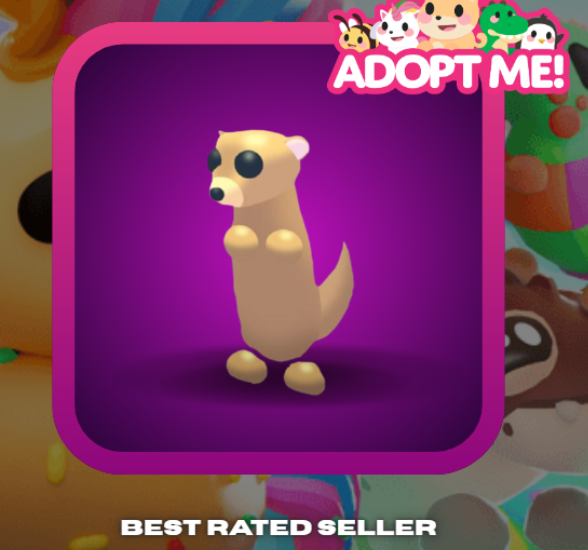 Adopt Me > Meerkat > NFR