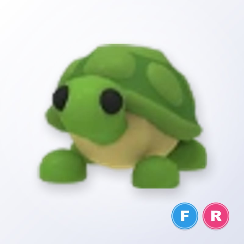 FR Turtle