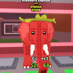 Strawberry Elephant 750 M/s OG