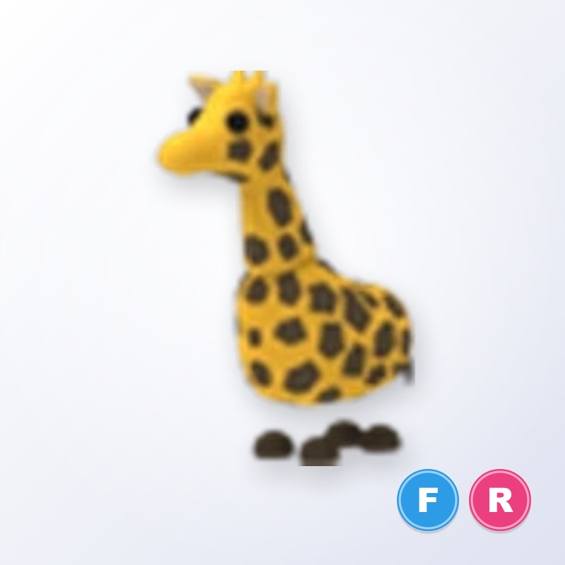 FR Giraffe