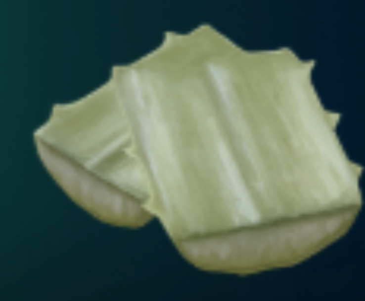 *5 Agave