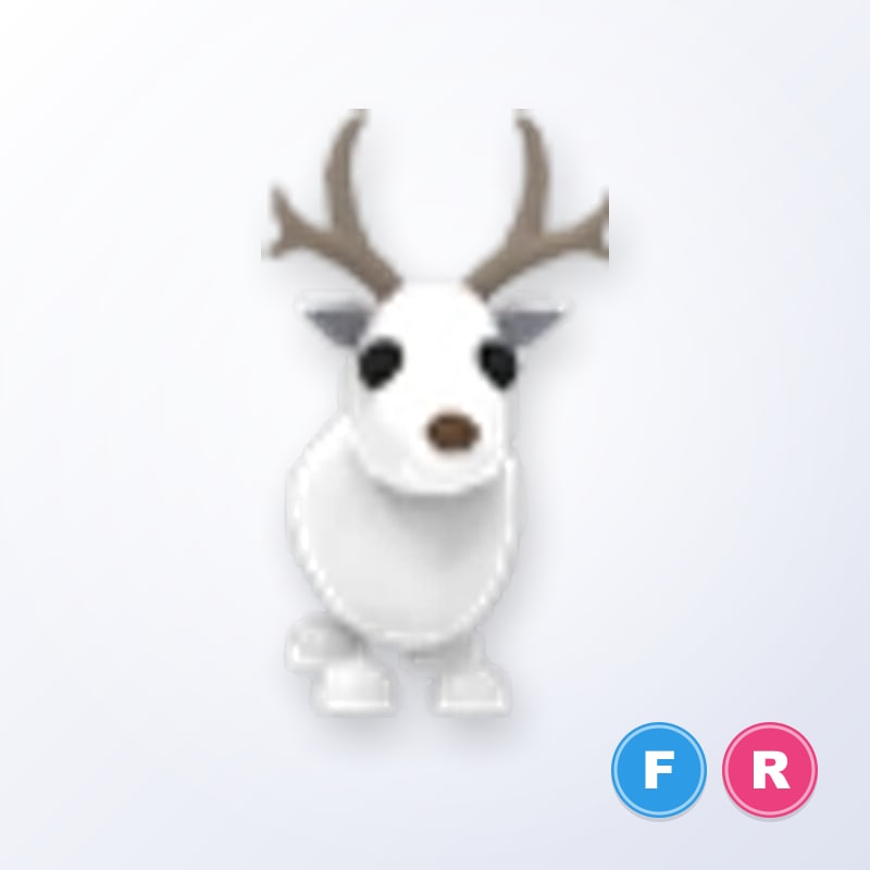 FR Arctic Reindeer