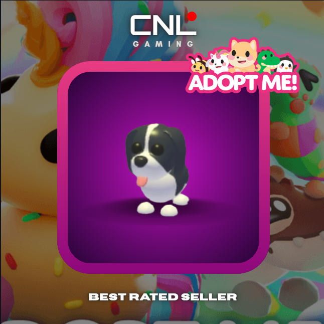 Adopt Me > Black Springer Spaniel > MFR