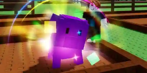 Rainbow Nihonzaru