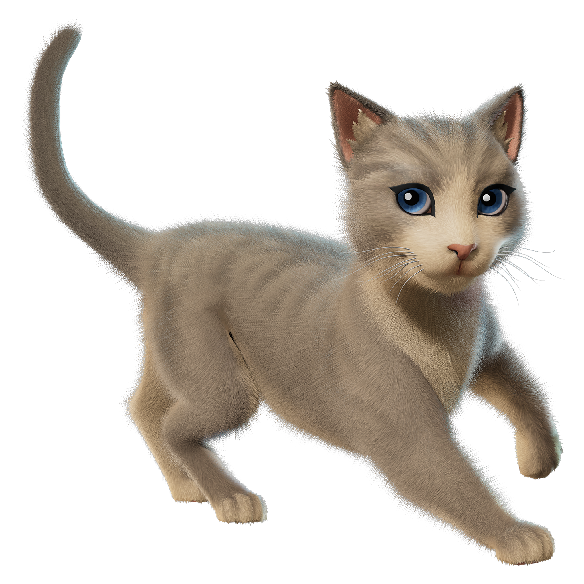 The Best Cat [PC/PS/XBOX/SWITCH] | 🔥 CHECK DESCRIPTION!🔥 FAST DELIVERY!🔥