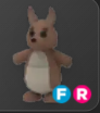 Kangaroo > FR 🦘 | Adopt Me | Fast Delivery ✅
