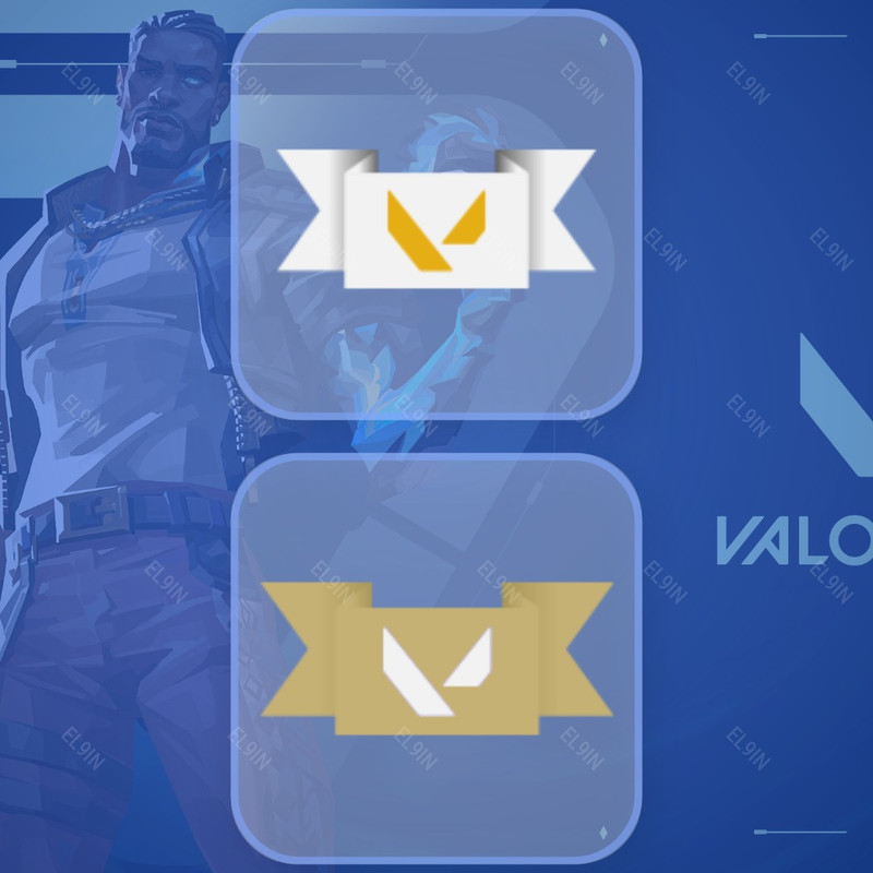 🌐 Twitch Drops 🌐 VCT26 GCC Sao Paulo 🌌 VALORANT [Total 2 Items]