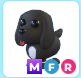 Royal Palace Spaniel MFR