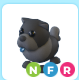 Black Chow-Chow NFR