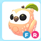 Peach Owl FR