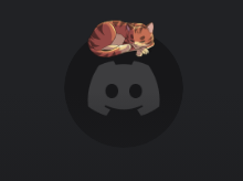 Cosy Cat Avatar 🔥Cheap Decoration $4.99
