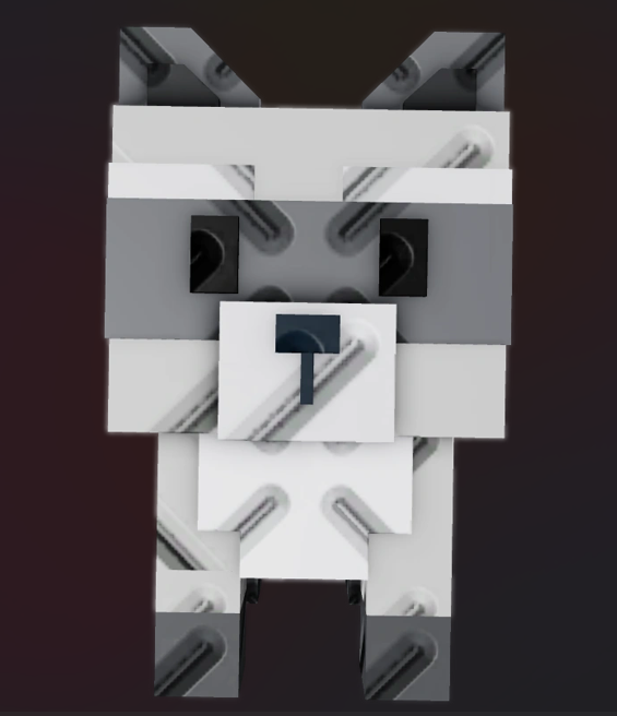 Raccoon