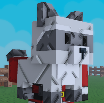 Raccoon