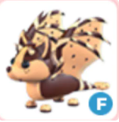 F Chocolate Chip Bat Dragon [Full Grown]