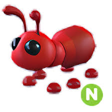 Ant > N | Adopt Me | Fast Delivery