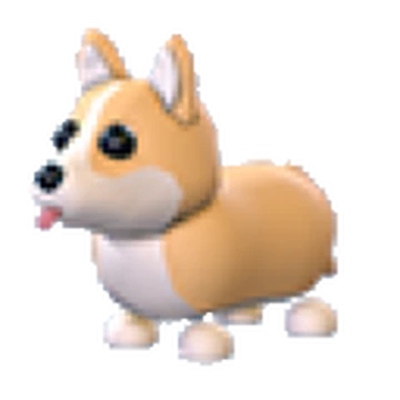 Corgi | Adopt Me | Fast Delivery