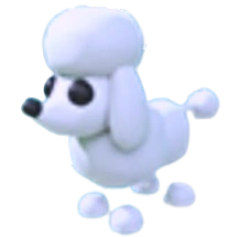 Poodle | Adopt Me | Fast Delivery