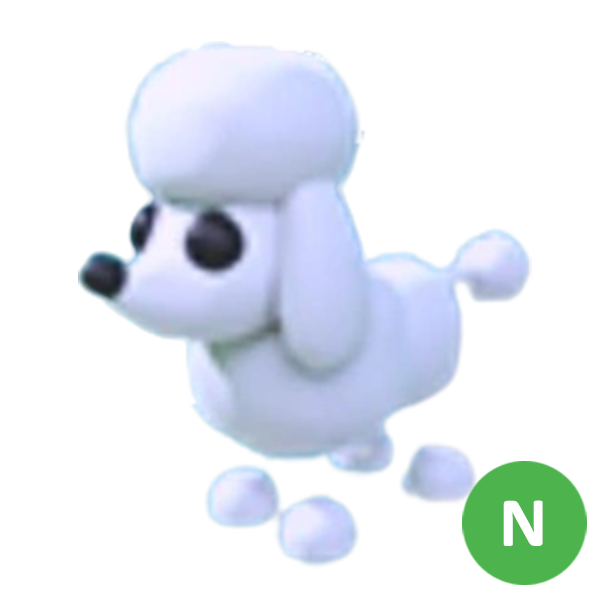 Poodle > N | Adopt Me | Fast Delivery