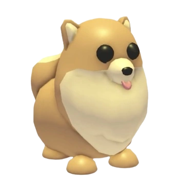 Pomeranian | Adopt Me | Fast Delivery