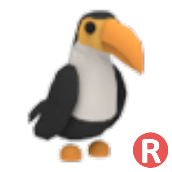 Toucan > R | Adopt Me | Fast Delivery