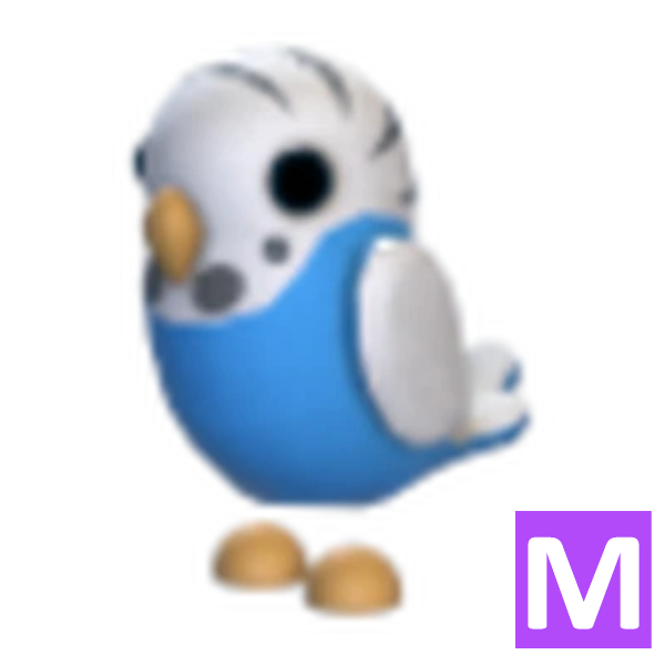Parakeet > M | Adopt Me | Fast Delivery