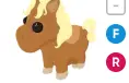 Shetland Pony Light Brown | Adopt Me | Fast Delivery