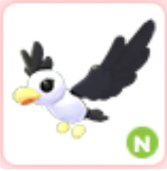 N Pilot Gull